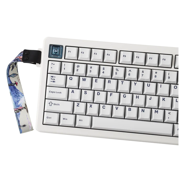 CIDOO QK75 75% VIA Programmable Gasket Wired/Bluetooth/2.4GHz Wireless Mechanical Keyboard with 4000mAh Battery & RGB Backlight - Vue 2 | Keyboard Maroc