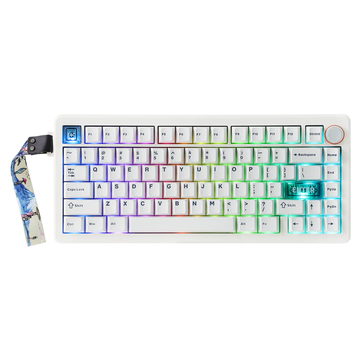 CIDOO QK75 75% VIA Programmable Gasket Wired/Bluetooth/2.4GHz Wireless Mechanical Keyboard with 4000mAh Battery & RGB Backlight - Vue 3 | Keyboard Maroc