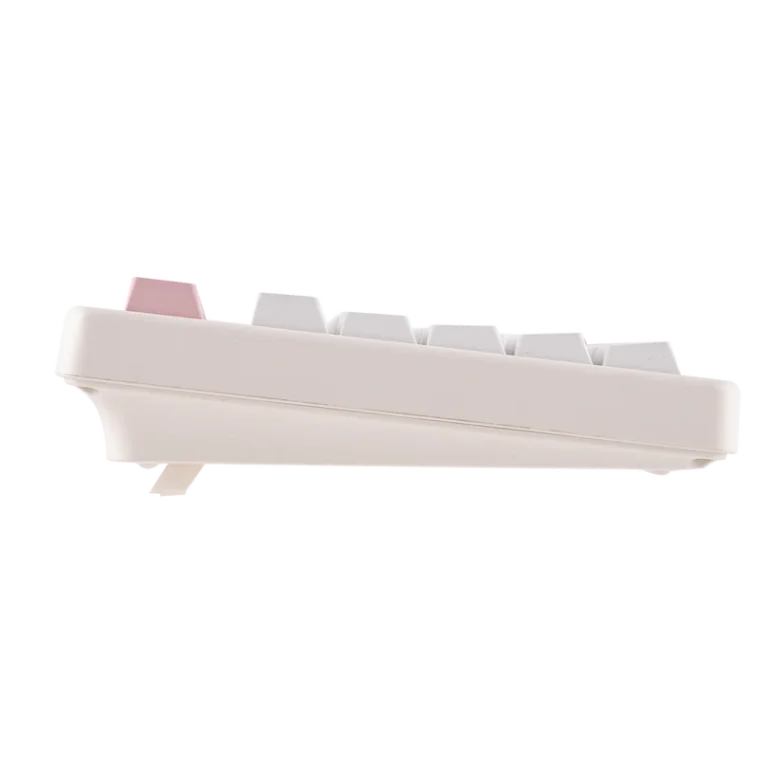 EPOMAKER QK81 – 75% Tri-Mode Mechanical Keyboard - Keyboard photo 5 - Epic Key Morocco