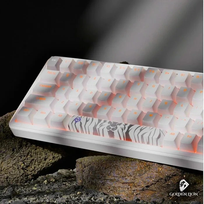 Golden Lion GM68 65% Hot-Swappable Mechanical Keyboard Red/Silver Switches (White) - Keyboard photo 5 - Epic Key Morocco