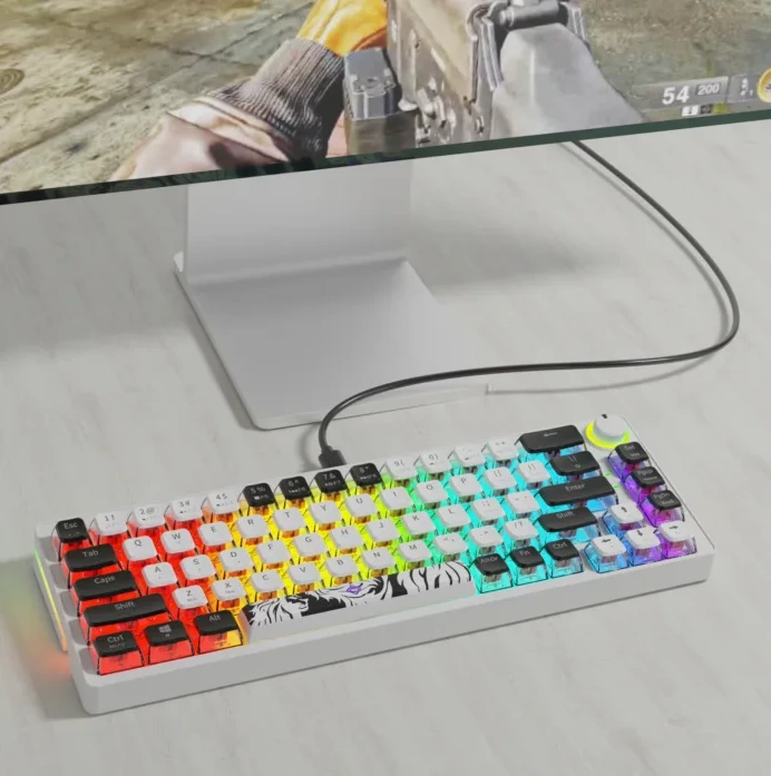 Golden Lion GI68 65% Hot-Swappable Mechanical Keyboard Red Switches - Vue 2 | Keyboard Maroc