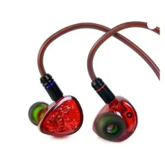 Earphones